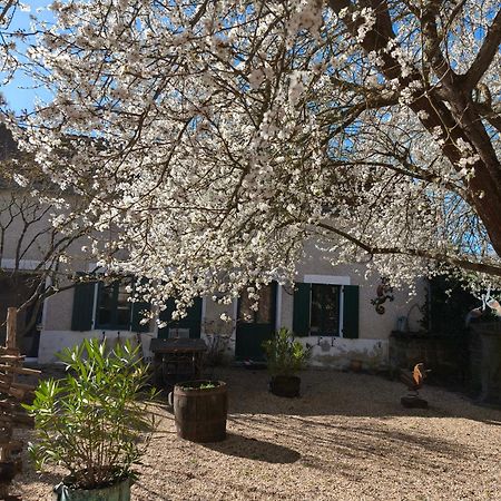 Le Cottage Des Sablons Pres Du Zoo De Beauval Saint-Romain-sur-Cher ภายนอก รูปภาพ