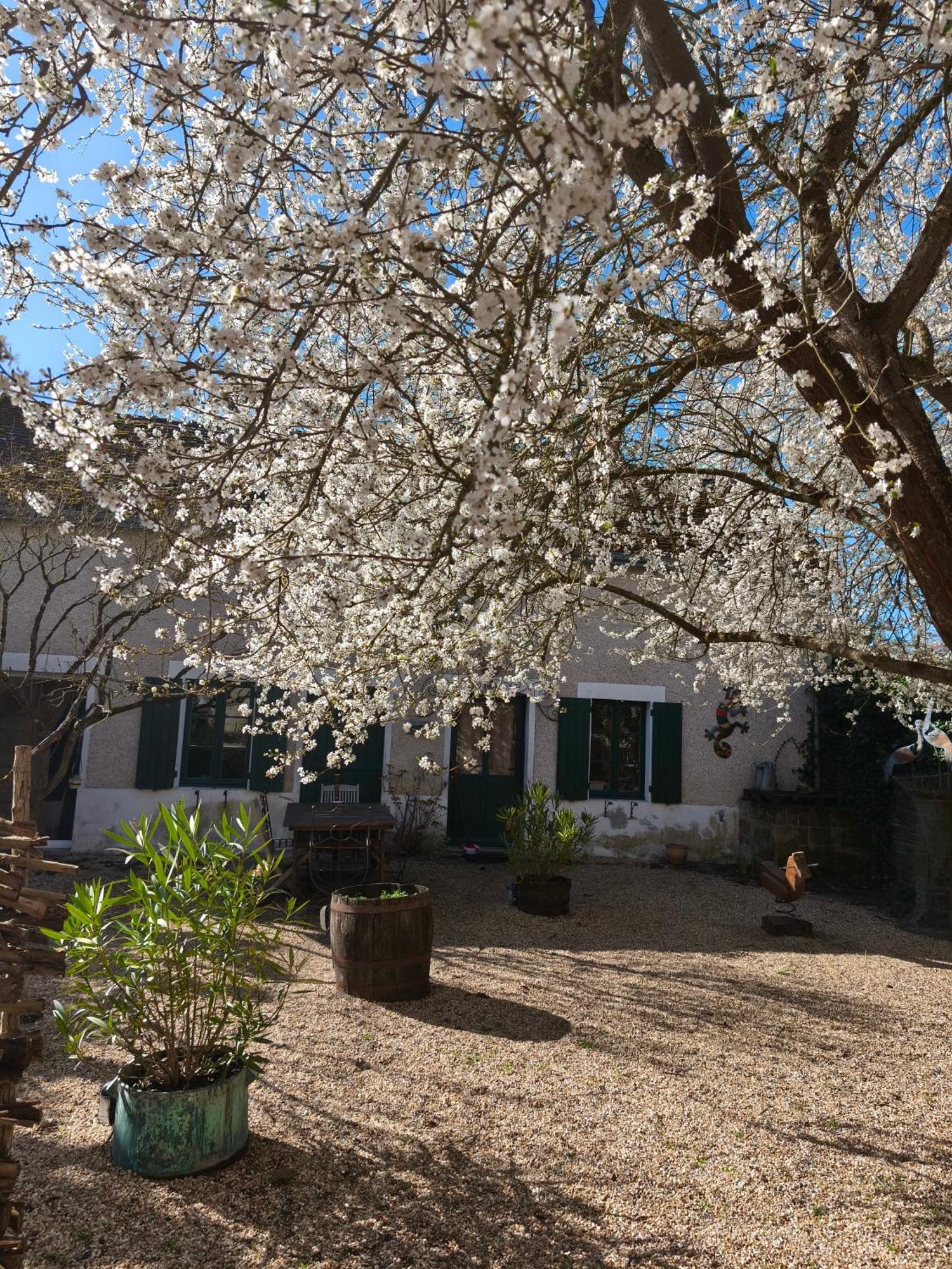 Le Cottage Des Sablons Pres Du Zoo De Beauval Saint-Romain-sur-Cher ภายนอก รูปภาพ